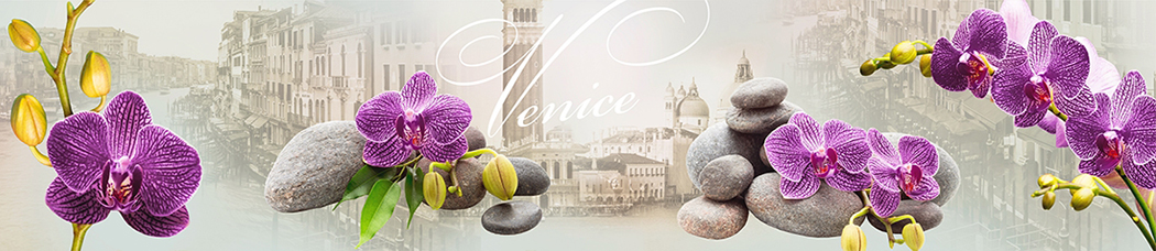 Скинали для кухни - venice, коллаж, орхидеи, орхидея, сиреневые орхидеи, ветки, камни, город на заднем фоне, венеция, черно-белый, серые камни, сан-марко