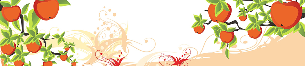 Скинали для кухни - апельсины, графика, рисованный, вектор, вензеля, ветки