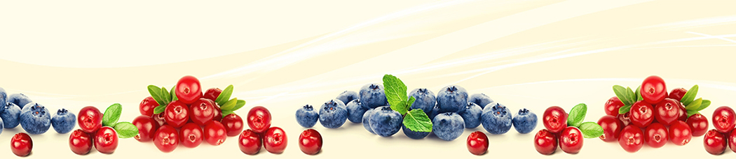 Скинали для кухни - черника, ягоды, градиент, калина, красные ягоды, мята, листья, брусника