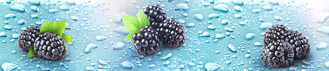 Скинали для кухни - бирюзовый, капли, вода, листья, ежевика, ягоды, солнце
