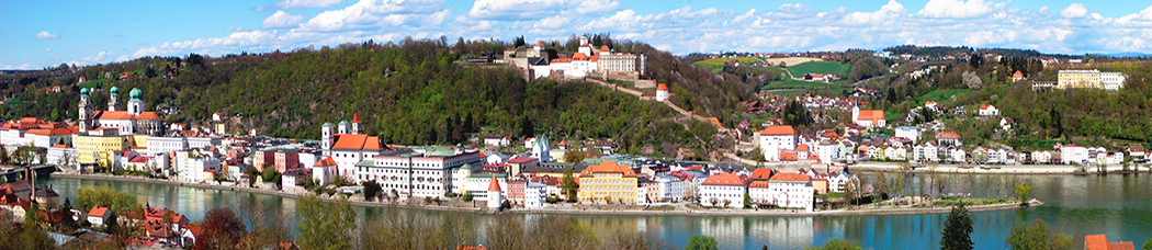 Скинали для кухни - панорама, перспектива, река, небо, облака, зелень, растительность, дома, крыши домов, церковь, храм, лес, отражение