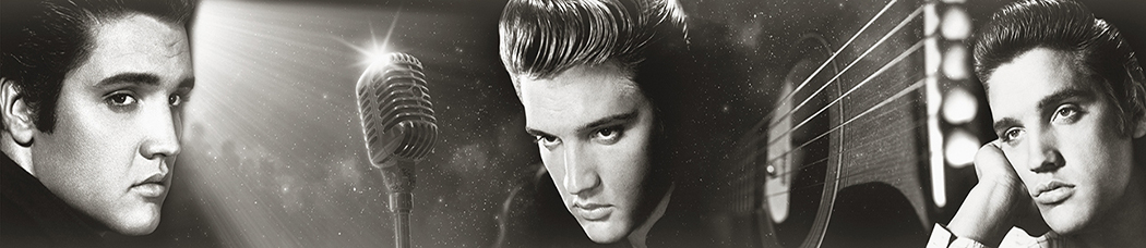 Скинали для кухни - элвис пресли, elvis presley, струны, гитара, микрофон, черно-белый, лицо, звезда, знаменитость, музыка, исполнитель, певец