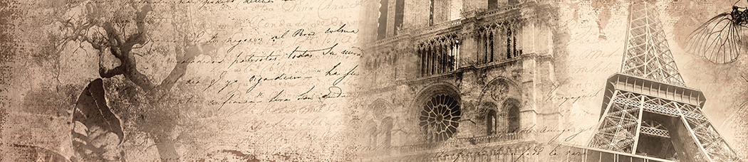 Скинали для кухни - париж, винтаж, состаренный, надписи, фразы, слова, текст, дерево, ветки, собор парижской богоматери, бабочка, бочки, эйфелева башня, пятна, пятно, клякса, кляксы, бабочки, сепия