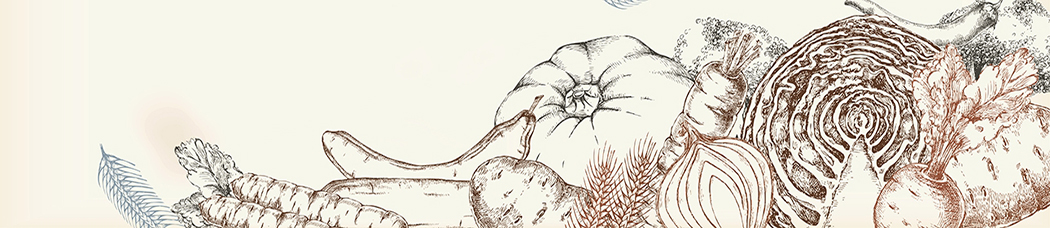 Скинали для кухни - рисованный, графика, вектор, рисунок карандашом, овощи, лук, морковь, капуста, свекла, тыква, картофель, сезонные