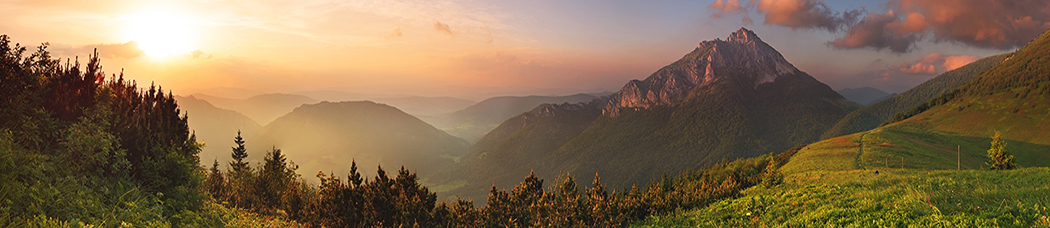 Скинали для кухни - панорама, перспектива, гора, горы, пейзаж, лес, хвойный, елки, ели, скалы, берег, деревья, зелень, растительность, закат, солнце, небо, облака, луг