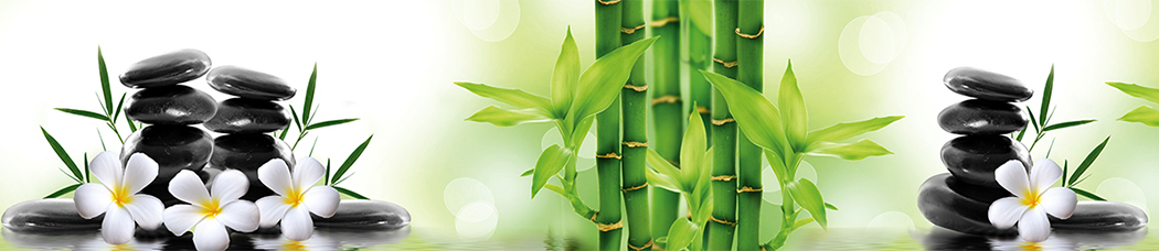 Скинали для кухни - зеленый фон, белые цветы, плюмерии, бамбуковый стебель, бамбук, бамбуковые стебли, камни, листья, вода, отражение, размытый фон, круги